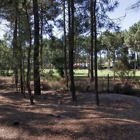 Appartamento Aroeira Golf - House